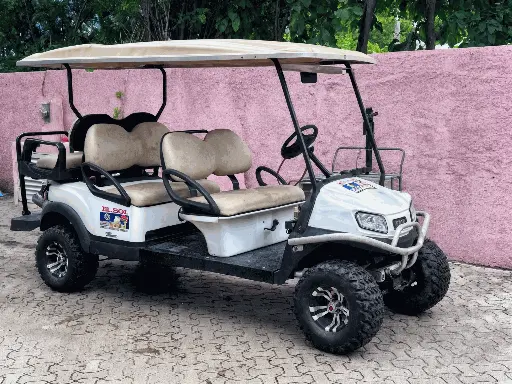 Renta de Carrito de Golf (6 personas de 9 AM a 5 PM)