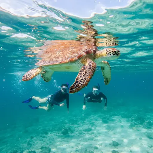 Tour de Snorkel Completo
